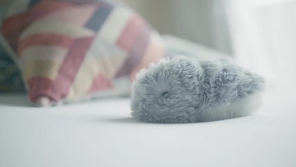 CES 2021 - Haustierroboter Moflin mit emotionalen Fähigkeiten