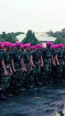 Pasukan mengerikan indonesia