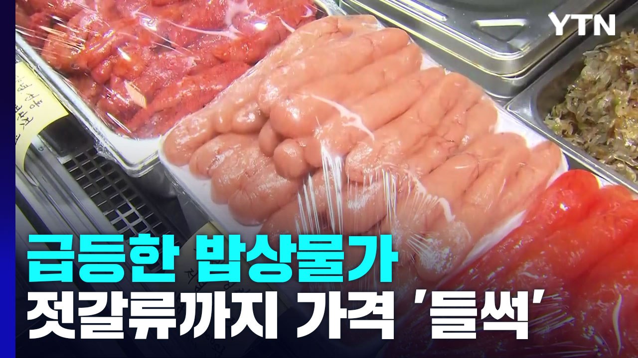 "30년 만에 가격 상승"...변동 폭 적은 젓갈류까지 가격 올라 / YTN