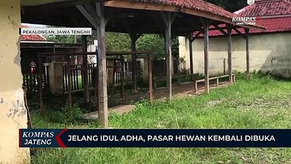 Jelang Idul Adha, Pasar Hewan di Pekalongan Kembali Dibuka