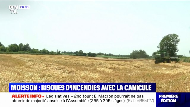 Canicule: les agriculteurs redoutent que leurs récoltes prennent feu, en pleine période de moisson