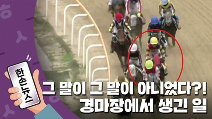 [한손뉴스] "그 말이 그 말이 아니었다?!"...경마장에서 생긴 일 / YTN