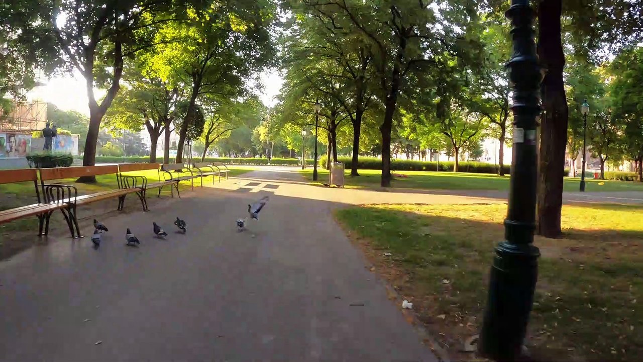 Vienna * Wien: Votivpark frühmorgens