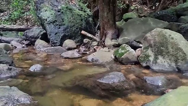 Air Terjun Gunung Rian | Tanah Tidung Kalimantan Utara