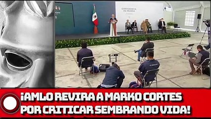 ¡AMLO REVIRA A MARKO CORTES POR CRITICAR SEMBRANDO VIDA!