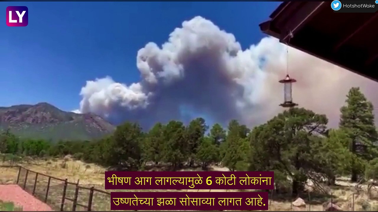 Arizona सह पाच राज्यांतील वनक्षेत्रात पेटला वणवा,  १० लाख एकर जंगल नष्ट
