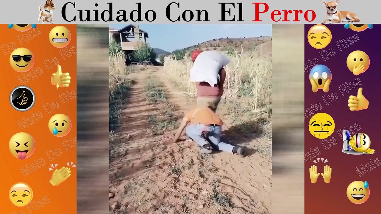Cuidado con el Perro , que risa.