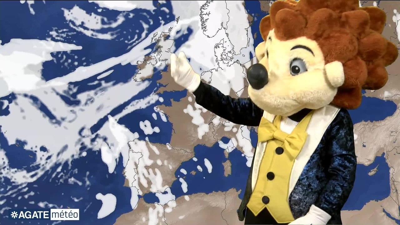 Niglo fait la météo