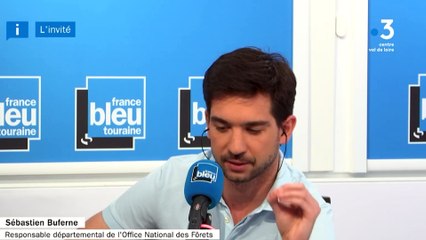 L'invité - Canicule, un danger pour nos forêts