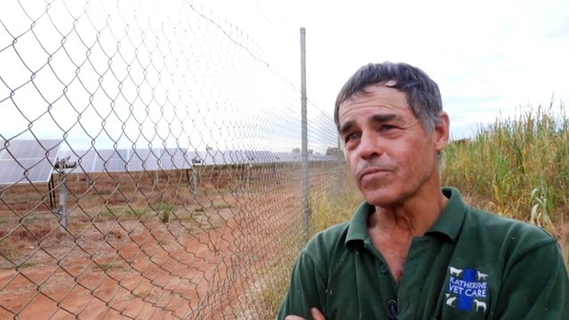 Northern Territory government accused of not supporting solar power farms