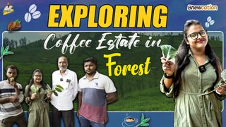 Exploring Coffee Estate In Forest | Brewcation Series | StellaRaj 777