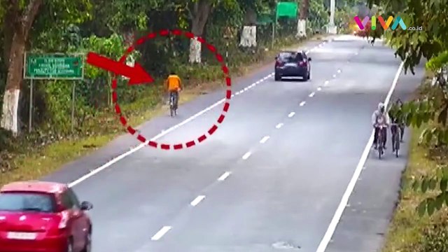 Ngeri! Macan Tutul Terkam Pesepeda di Jalan Raya