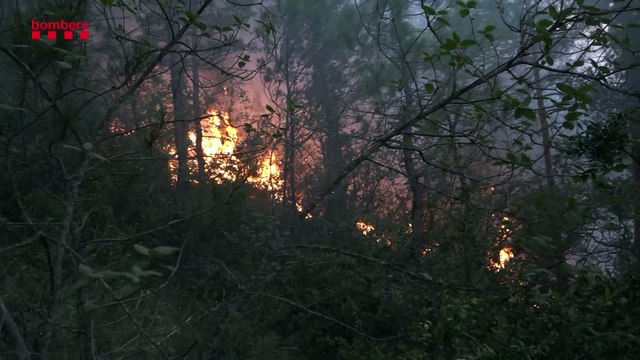 Así avanzan los principales incendios que azotan España