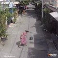 Viral Video Emak-Emak Berantem dengan Kucing Oranye Hingga Terjatuh