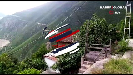 Dağ keçisi bu kez çatıya çıktı