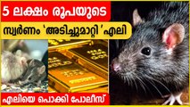 Rats Stole | സ്വര്‍ണം അടങ്ങിയ ബാഗ് അടിച്ചുമാറ്റി എലികള്‍ | *India