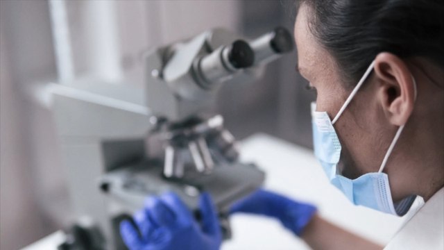 Ebola, Covid-19, variole du singe, grippe aviaire, zika, VIH,..voici pourquoi les épidémies se multiplient