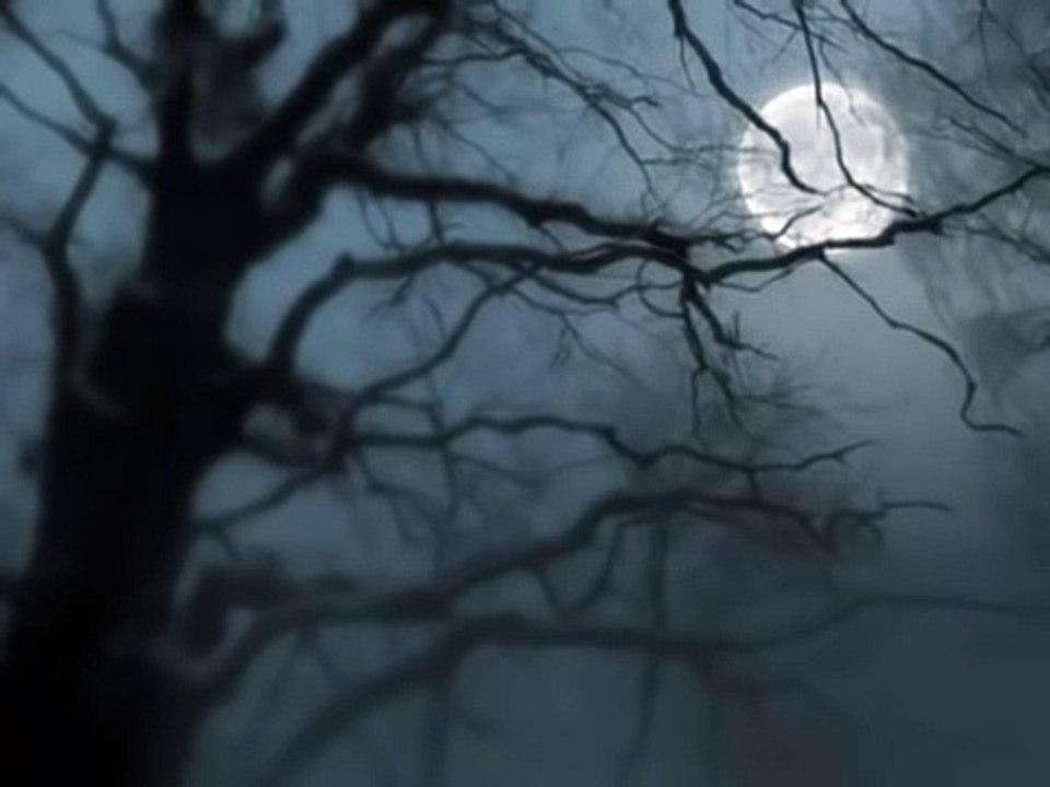 Beethoven - Silencio
