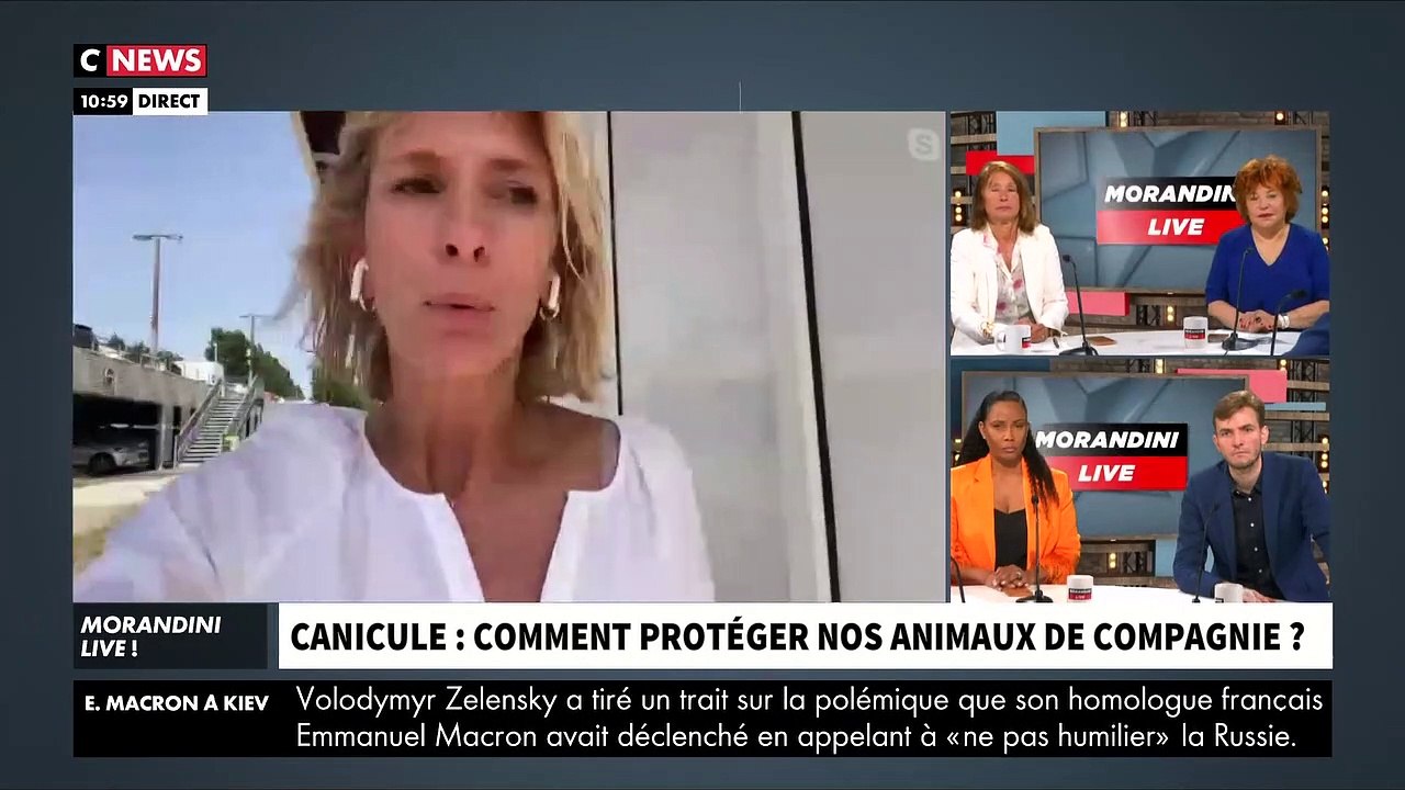 Canicule - Dans "Morandini Live", la vétérinair...