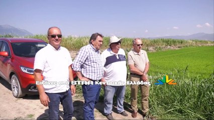 Κουνουποκτονία με drone στη Λαμία