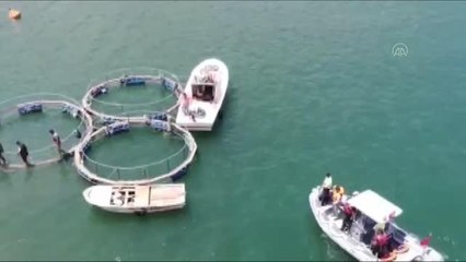Kaçak balık avlayan 3 kişiye yaklaşık 27 bin lira para cezası verildi