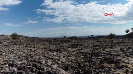 Diyarbakır'da keşfedildi: Dünyaya açılacak