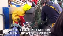 Παγκόσμιος Οργανισμός Εμπορίου: Συμφωνίες για εμβόλια, εξαγωγές σιτηρών και αλιεία
