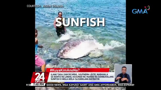 #KuyaKimAnoNa?: Ilang taga-San Ricardo, Southern Leyte, nabahala sa banta ng lindol kasunod ng inanod na dambuhalang sunfish o mola-mola sa kanilang baybayin | 24 Oras