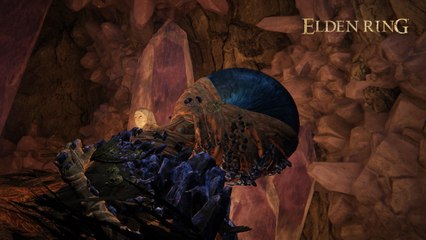 Maître Lusat Elden Ring : sa position, quête de Sellen