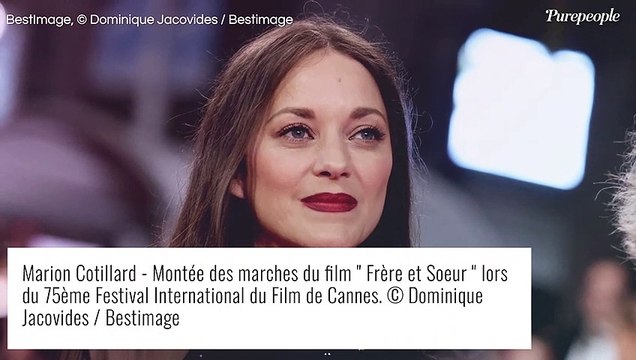 Marion Cotillard : Sa réponse limpide sur les rumeurs de liaison avec Brad Pitt