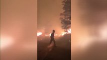 Ocho pueblos desalojados y 9.000 hectáreas quemadas en el incendio de Zamora