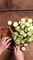 CUISINE ACTUELLE - Gratin de courgettes au parmesan