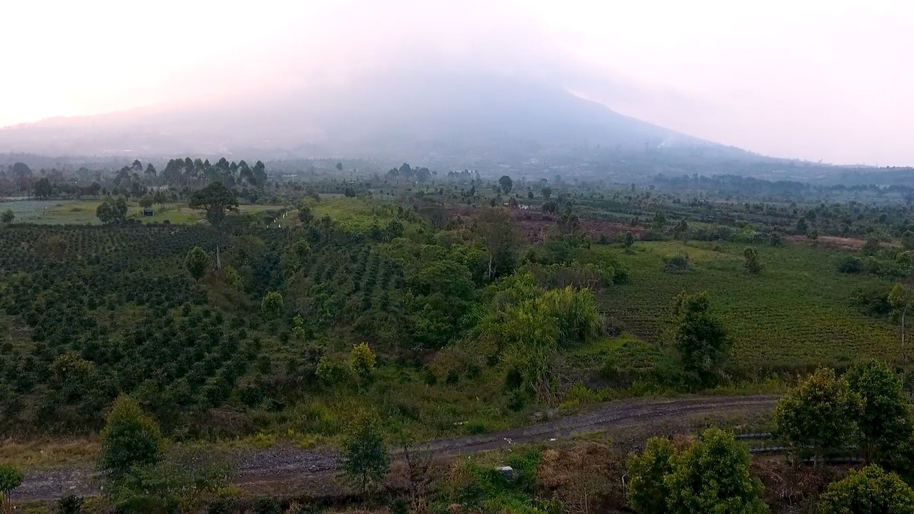 Disaat Aku Ingat Dirimu - Helen Sparingga (Piano Instrumental by Sukarno Syahrir)