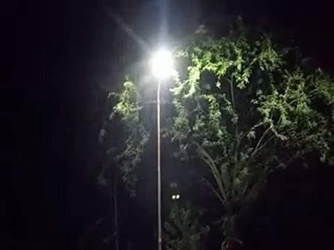 कोटा व झालावाड़ में प्री-मानसून की झमाझम