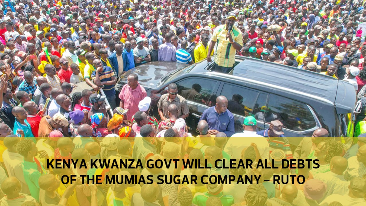 Kenya Kwanza govt will clear all debts of the Mumias Sugar Company - Ruto
