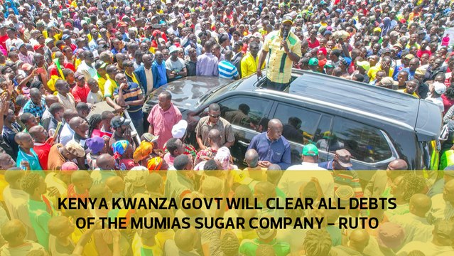 Kenya Kwanza govt will clear all debts of the Mumias Sugar Company - Ruto