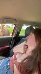 Cometió un error garrafal en un safari y la actitud de un avestruz la hizo entrar en pánico