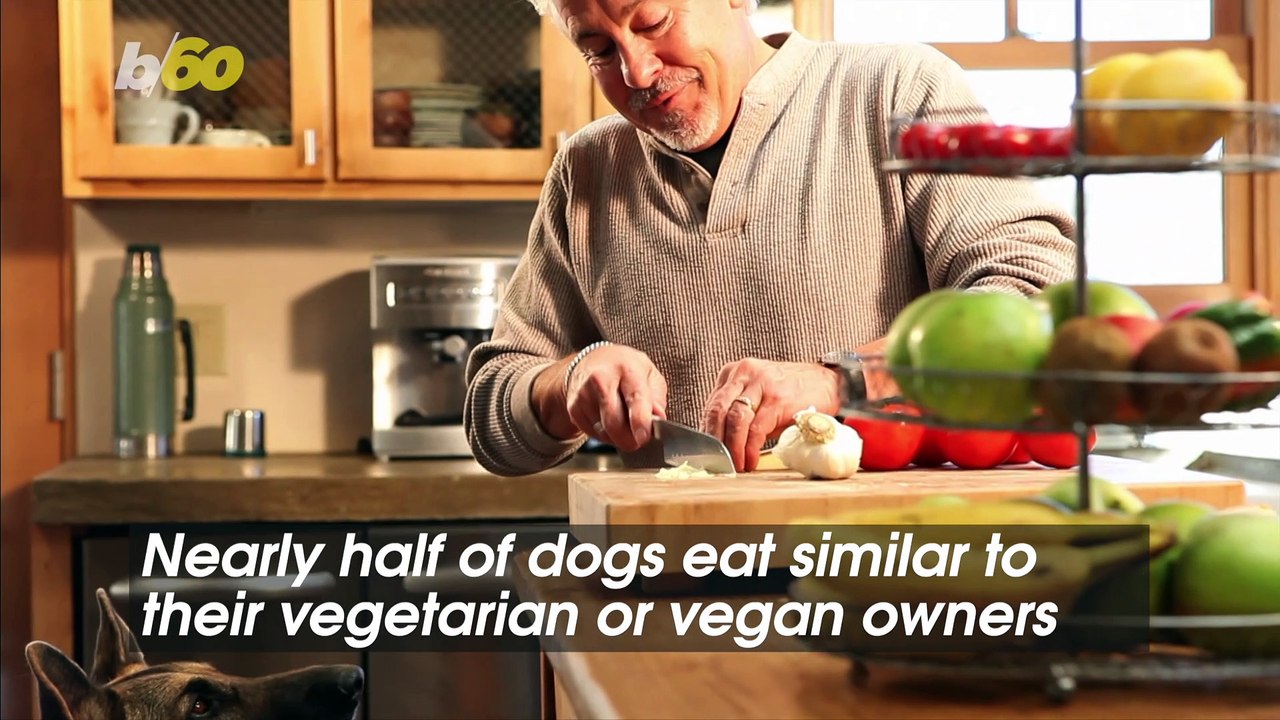 Cooking for Fido? Survey Shows You Probably Share a Similar Diet With Your Dog