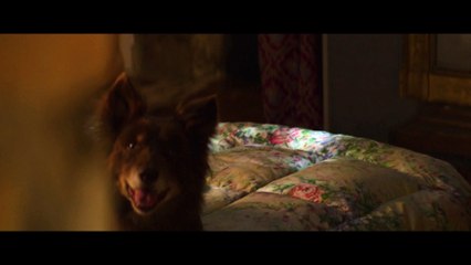 I giovani amanti, una clip del film con Fanny Ardant (HD)