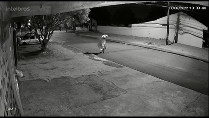Câmera flagra suspeito de roubo no Santa Felicidade