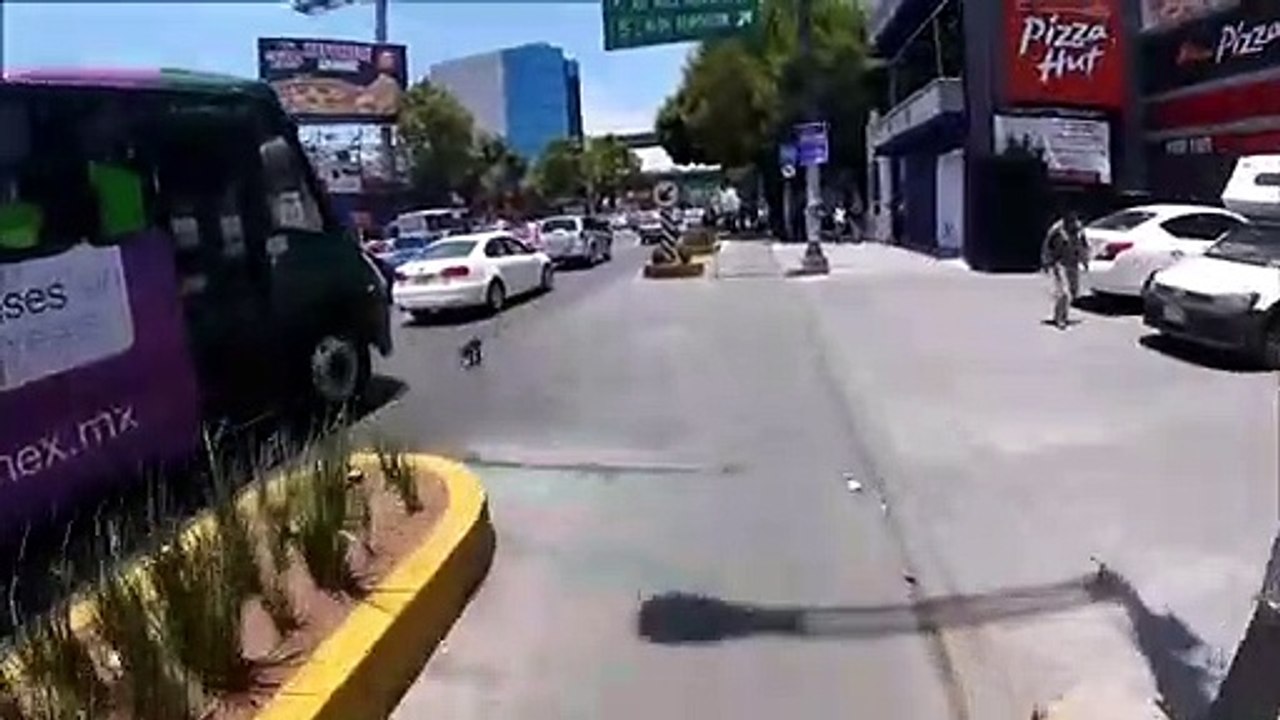 Un cycliste se lance à la poursuite d'un chien fou dans la rue
