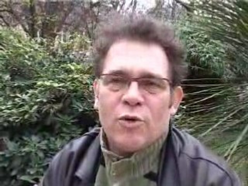 Laurent Boudereau-Les Verts-MPEG-4 - Diffusion web