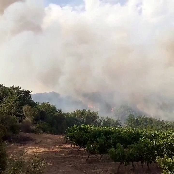 Des Canadair déployés dans l'Hérault pour éteindre plusieurs incendies. Crédits : SDIS 34