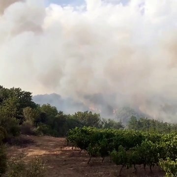 Des Canadair déployés dans l'Hérault pour éteindre plusieurs incendies. Crédits : SDIS 34