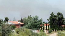 Un incendio forestal en Toledo obliga a desalojar a más de 3.000 personas del parque temático Puy du Fou