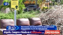 Recogida de desechos en Miami-Dade requeriría alza de impuestos | Resumen semanal