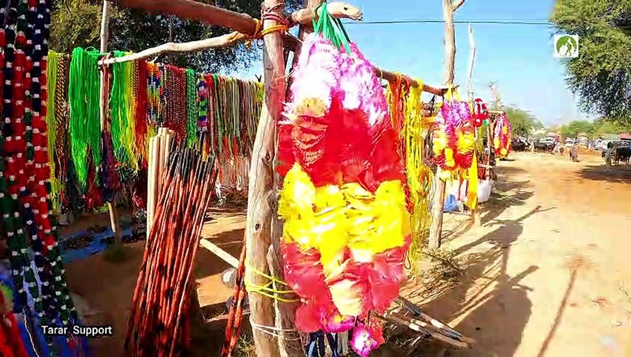 Rural Life A Walk In Cattle Market
