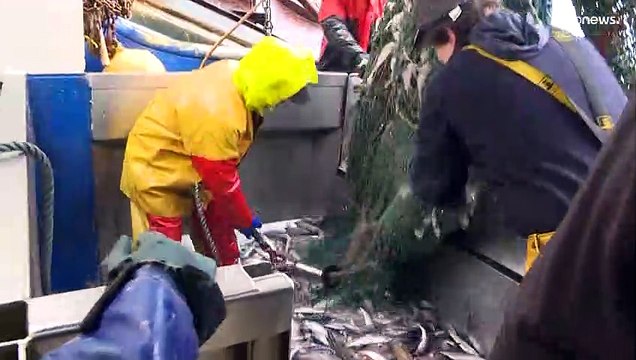 WTO ministers reach deals on fisheries, food, COVID vaccines