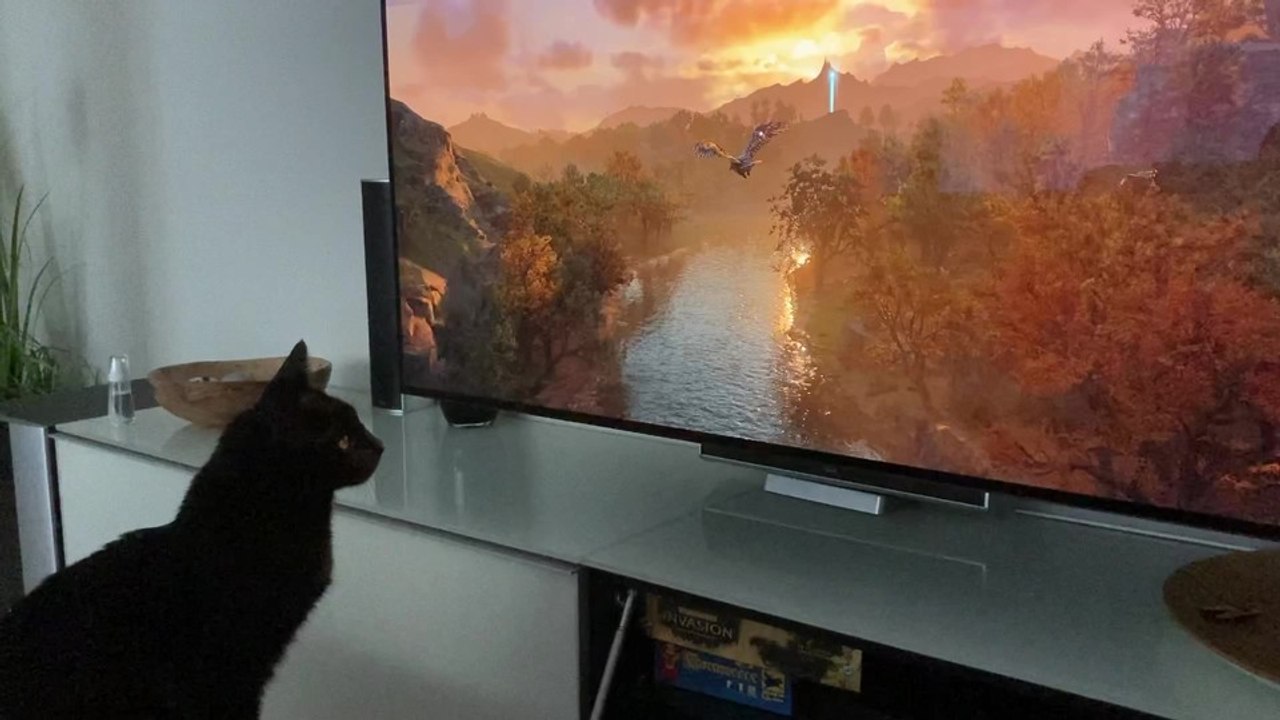 Assassin's Creed Valhalla - Heikos Kater Henry ist begeistert von Ubisofts neuem Assassinen-Abenteuer