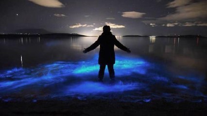 What If Humans Were Bioluminescent?
